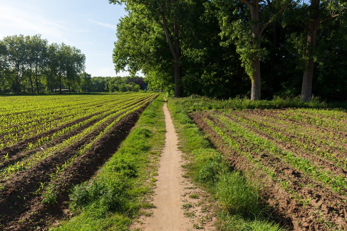 Foto / Trage Wegen / Jeroen Mentens / regionalelandschappen.be