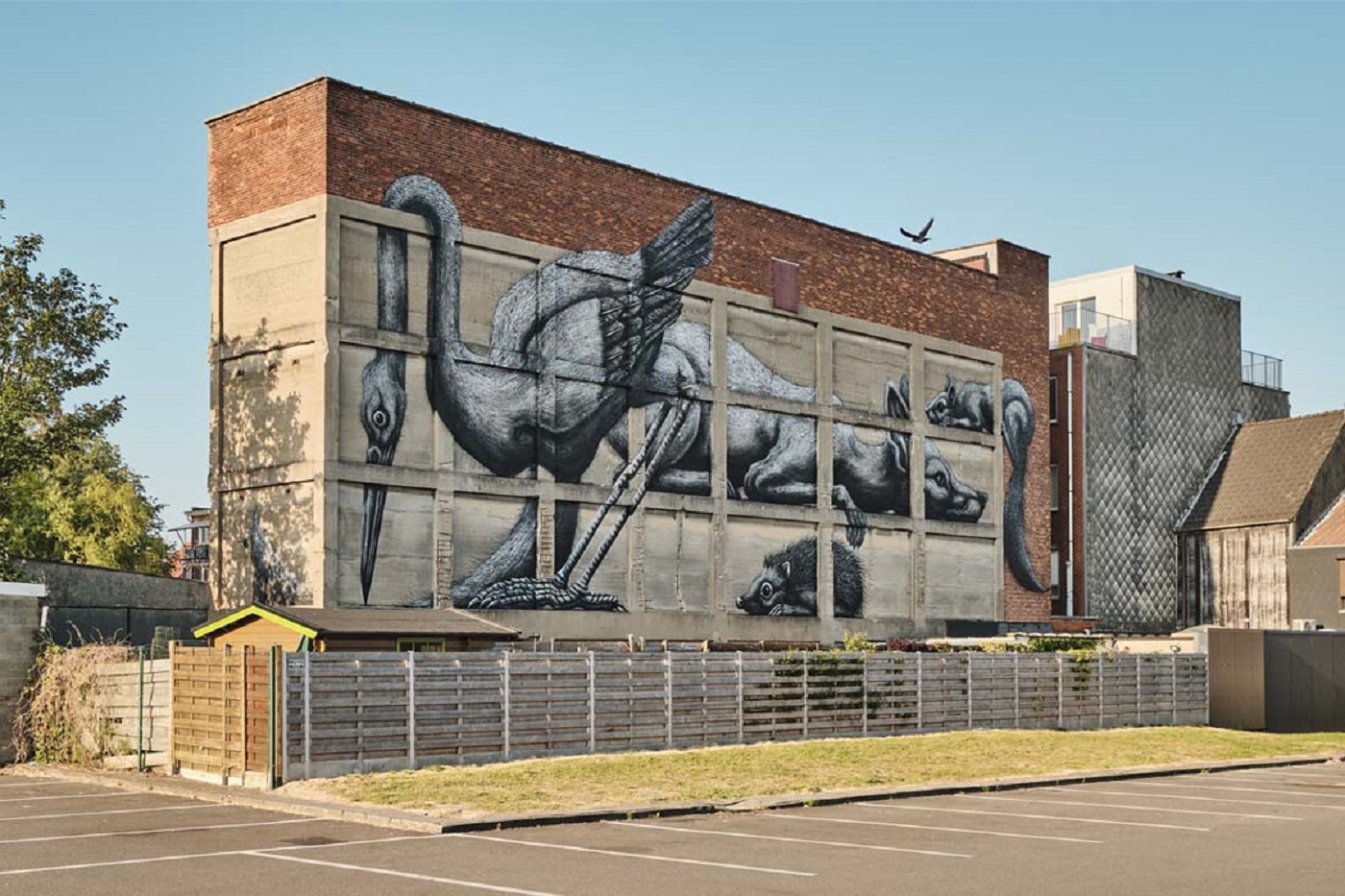 Foto / Street art / ontdeksintniklaas.be