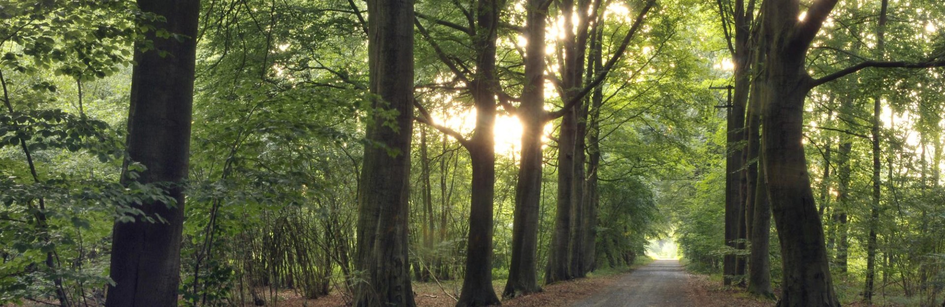 Foto / Fondatie van Baudelo / sint-niklaas.be